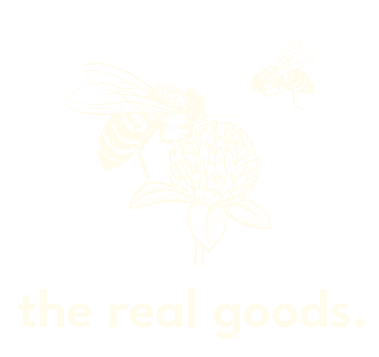 logo dark